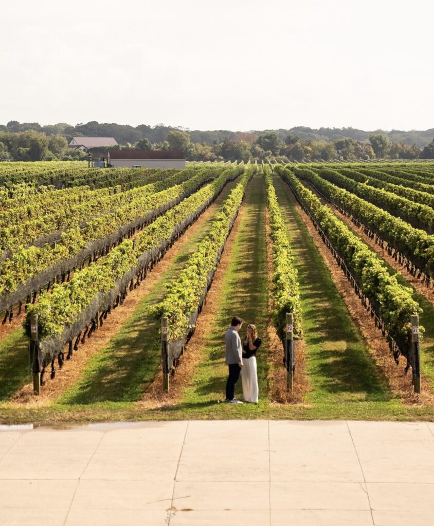 PHOTO OF COUPLE AT WINERY